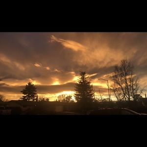 Meet your Posher, Bailey